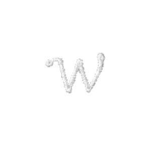刺繍イニシャルレース〔W〕|結婚式演出の手作りアイテム専門店B.G.