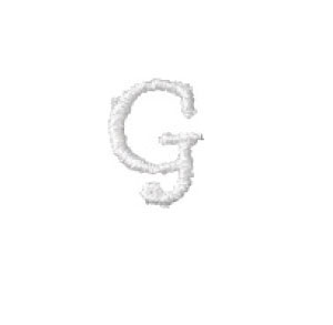 刺繍イニシャルレース〔G〕|結婚式演出の手作りアイテム専門店B.G.